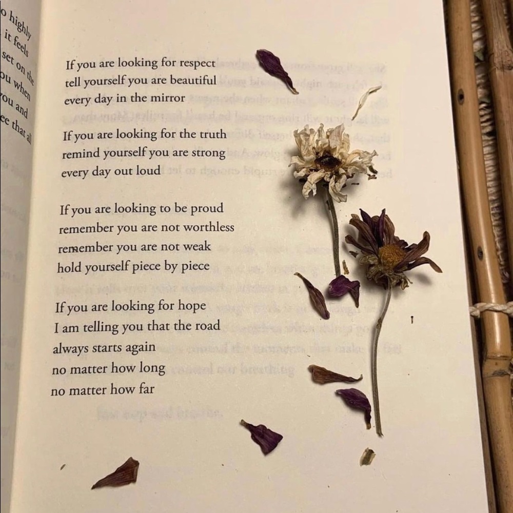 Meet your Posher, Guevara r